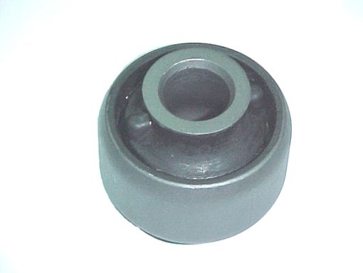 BUJE PARRILLA - DEL. (PTE. CENTRAL) LAGUNA II 02/..